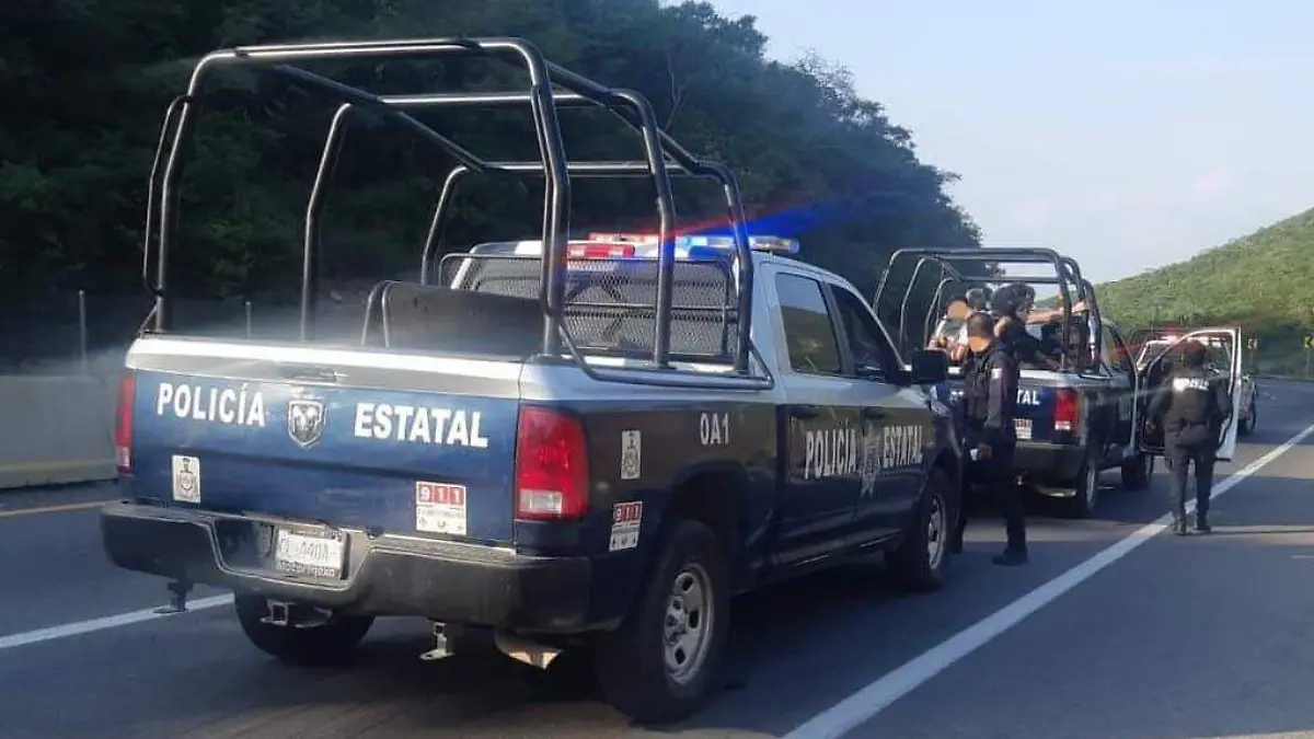 Policía Ilustrativa