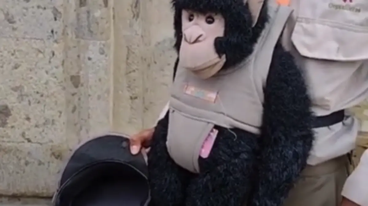 Changuito cilindrero