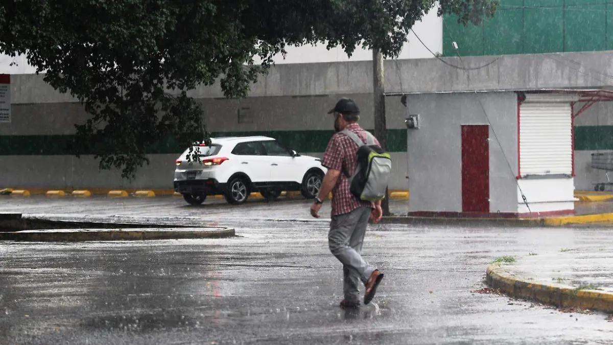 WhatsApp Image 2020-06-21 at 19.01.41