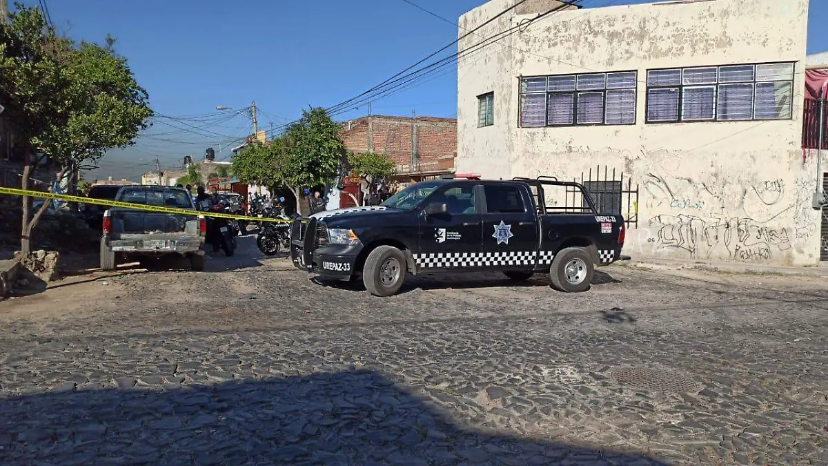 WhatsApp Image 2020-11-09 at 16.18.32