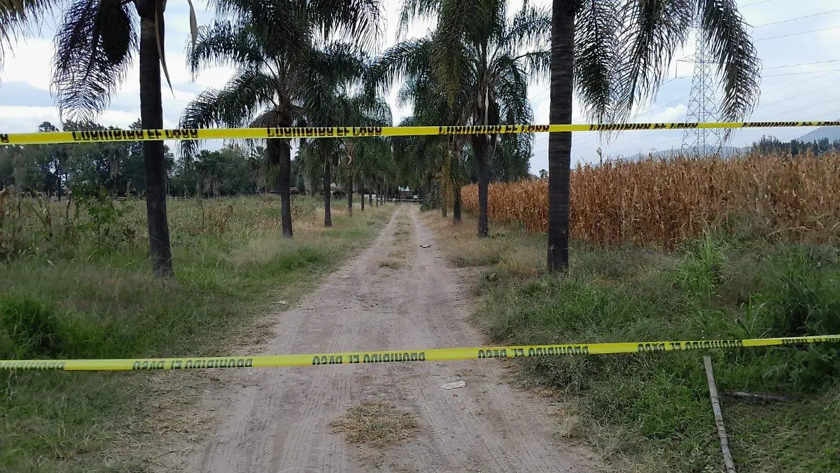 Román Ortega Policiaca