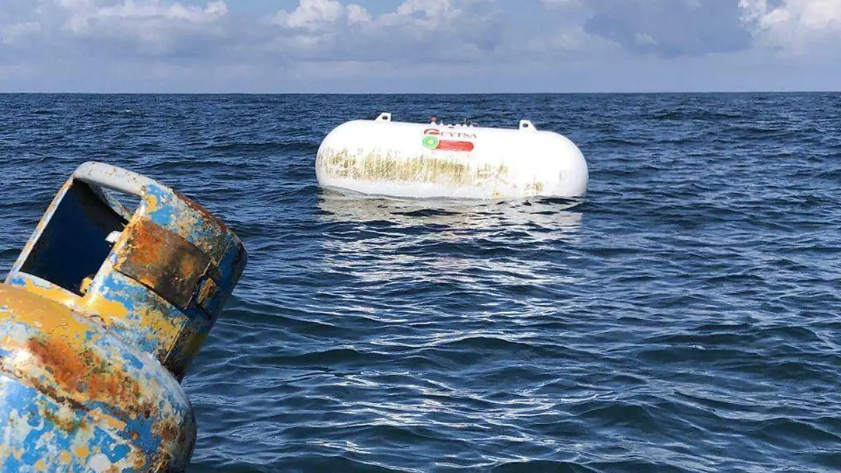 WhatsApp Image 2021-09-12 at 12.04.52