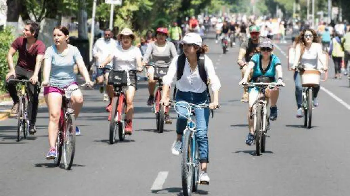 WhatsApp Image 2020-09-08 at 16.07.53