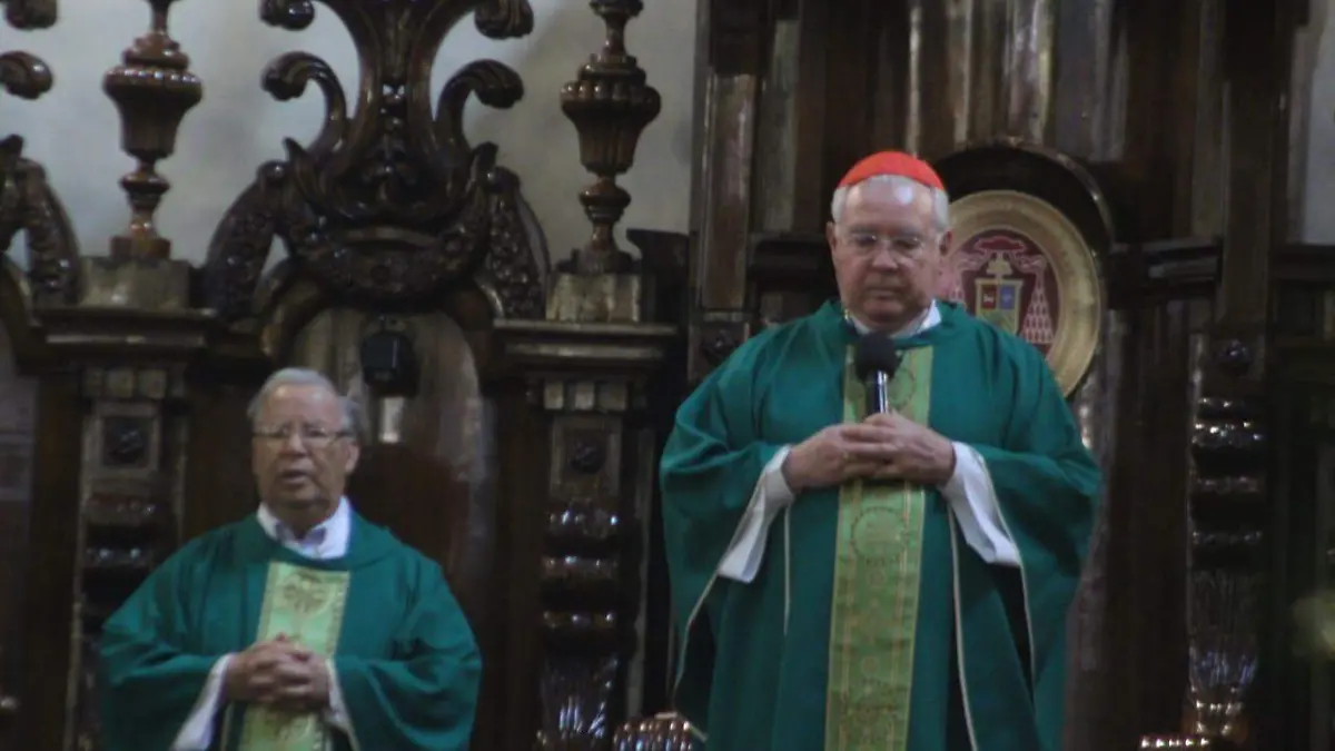 WhatsApp Image 2020-01-26 at 13.39.17