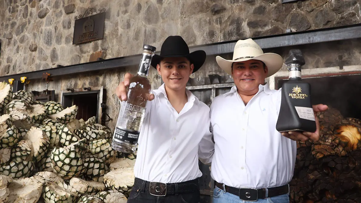 Agave Foto. David Tamayo  (3)