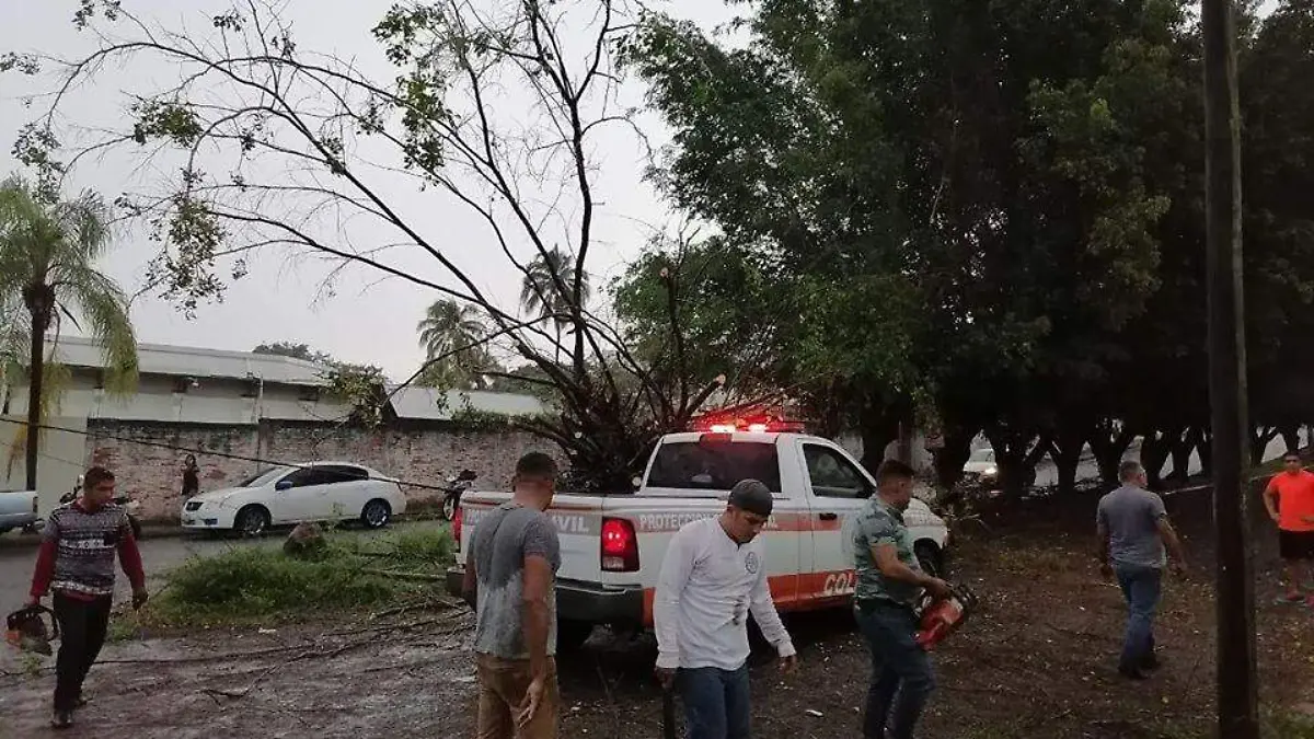 WhatsApp Image 2020-08-12 at 03.42.19 (1)