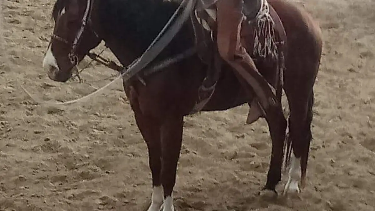 Cortesía Salomón González (2)