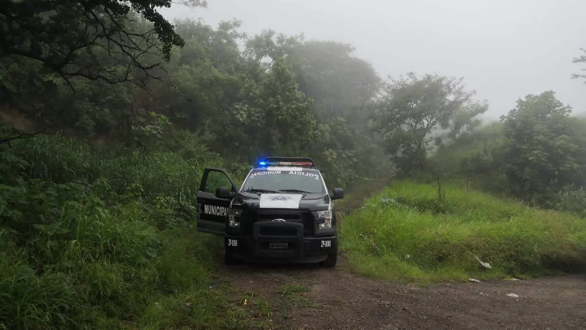 WhatsApp Image 2020-08-24 at 18.27.43