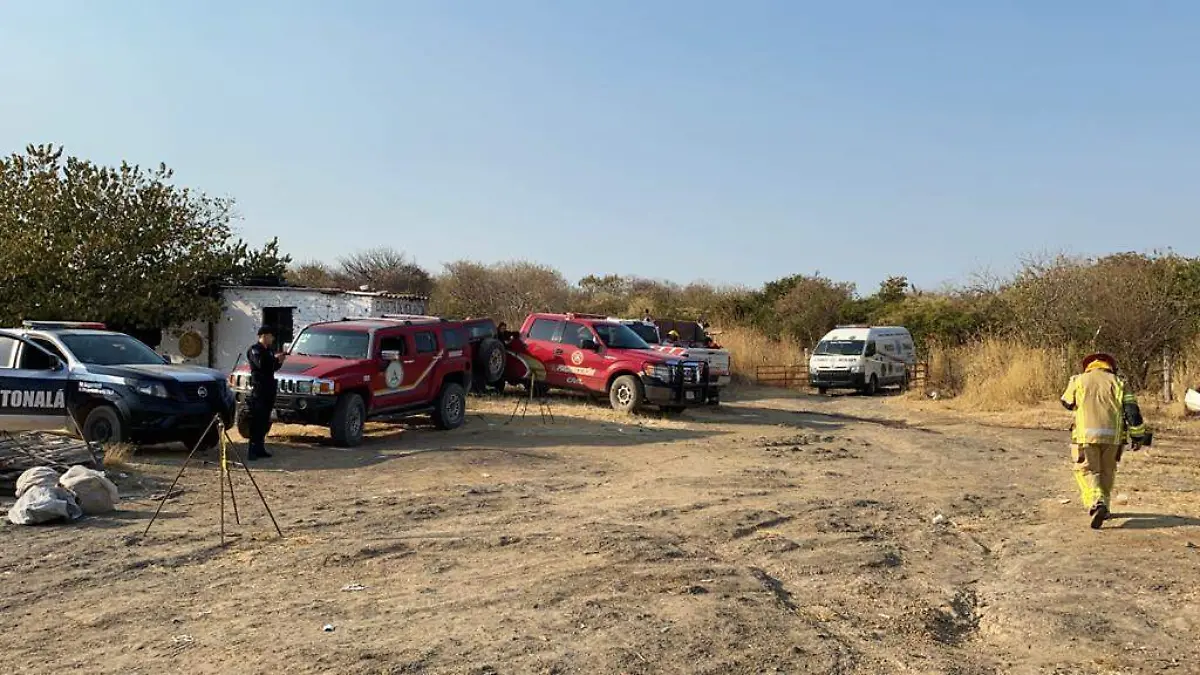 WhatsApp Image 2020-11-27 at 16.28.51