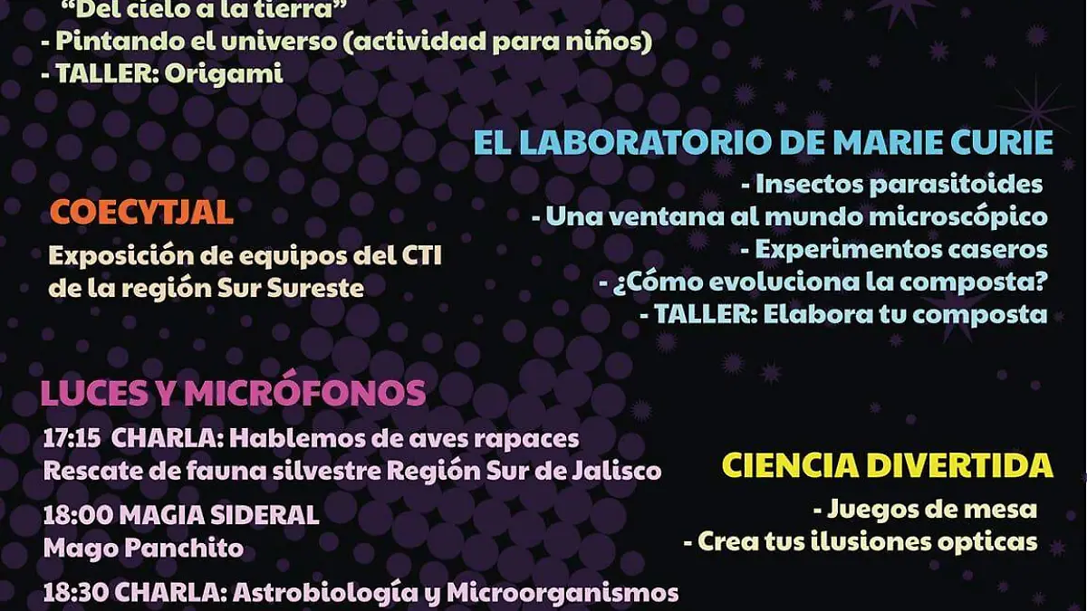 Programa Noche de las estrellas Cd. Guzmán