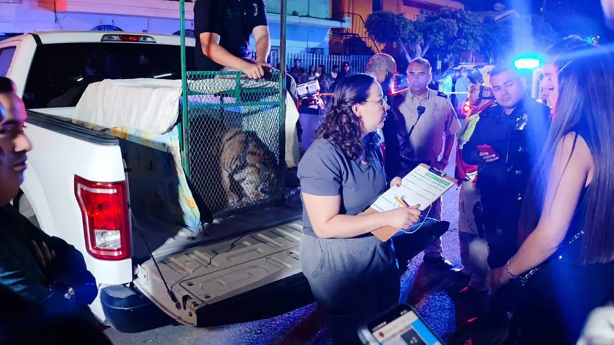 Policía