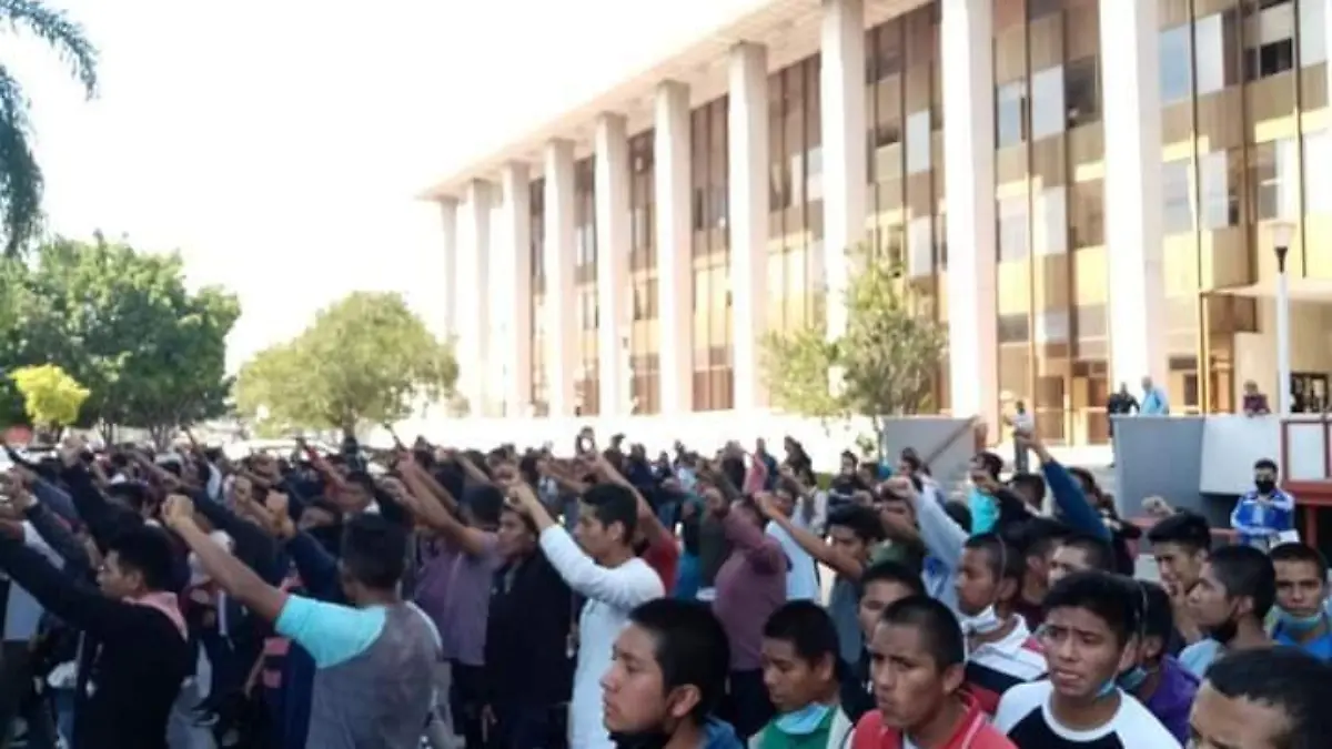 WhatsApp Image 2020-10-29 at 15.51.33