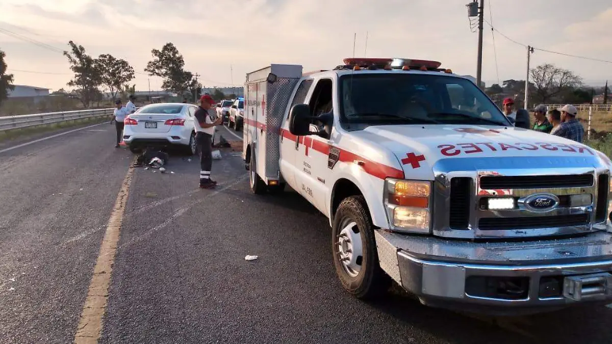 WhatsApp Image 2020-02-16 at 14.35.19