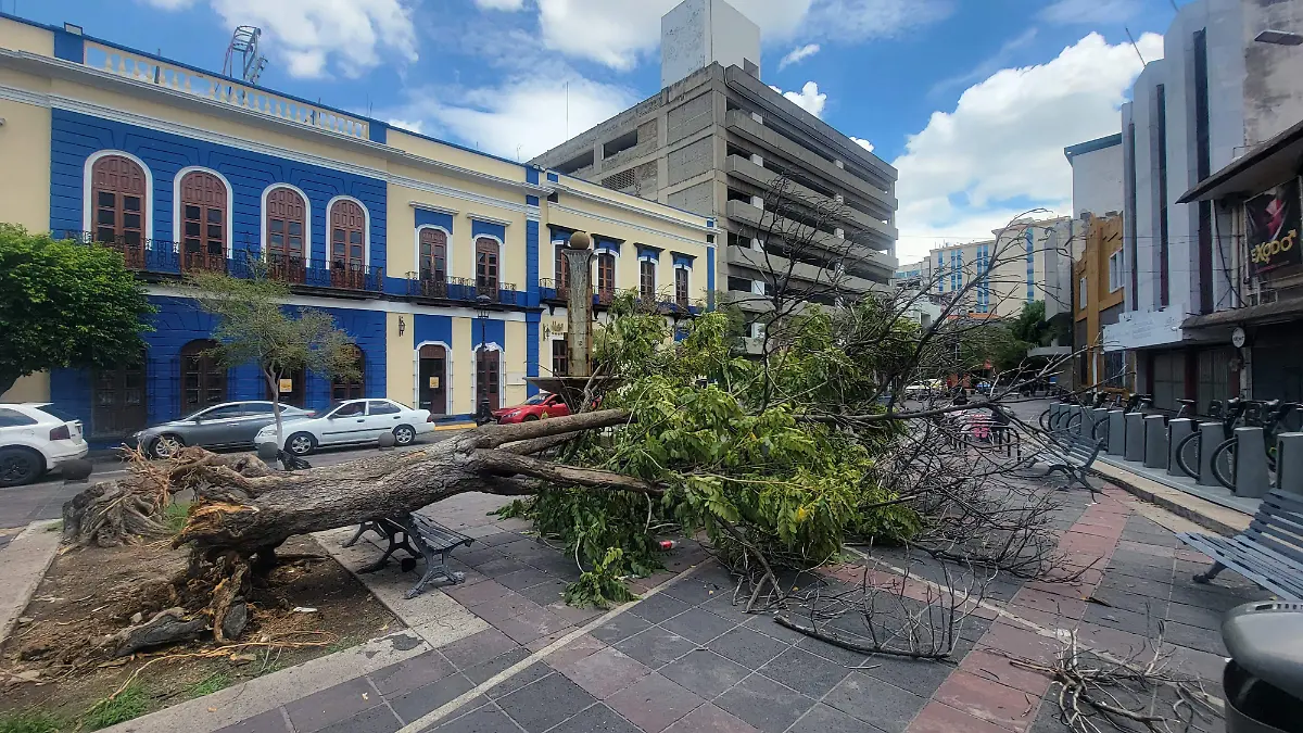 4 inundaciones 4
