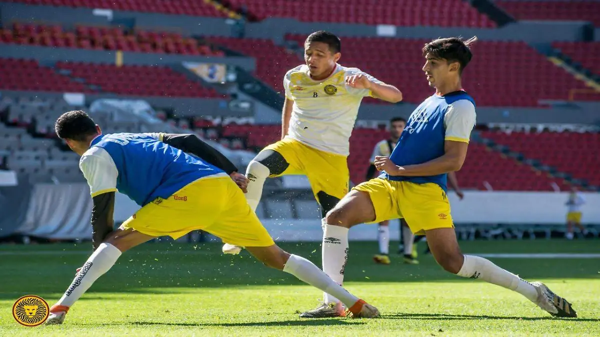 WhatsApp Image 2021-01-27 at 12.15.14