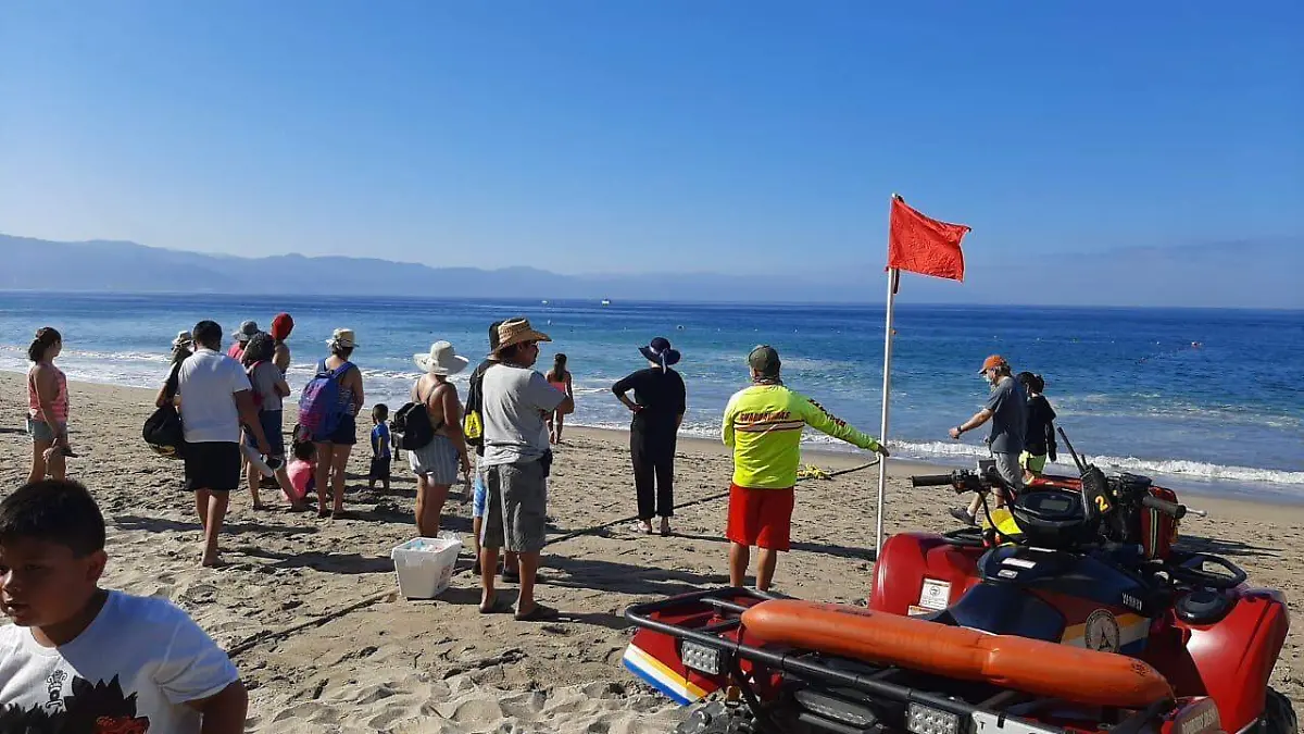 WhatsApp Image 2020-12-29 at 15.36.02