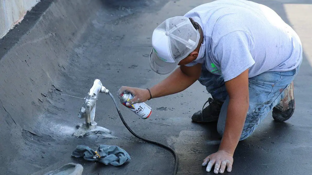 WhatsApp Image 2020-05-14 at 12.29.09