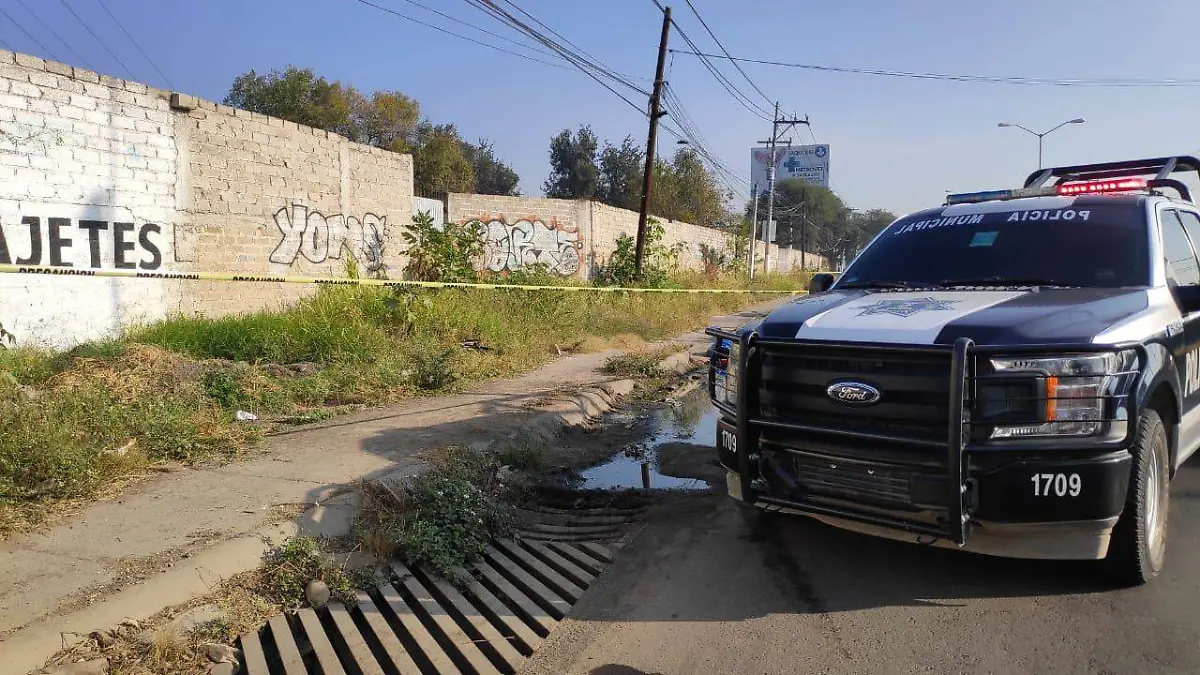 WhatsApp Image 2020-11-30 at 14.00.35