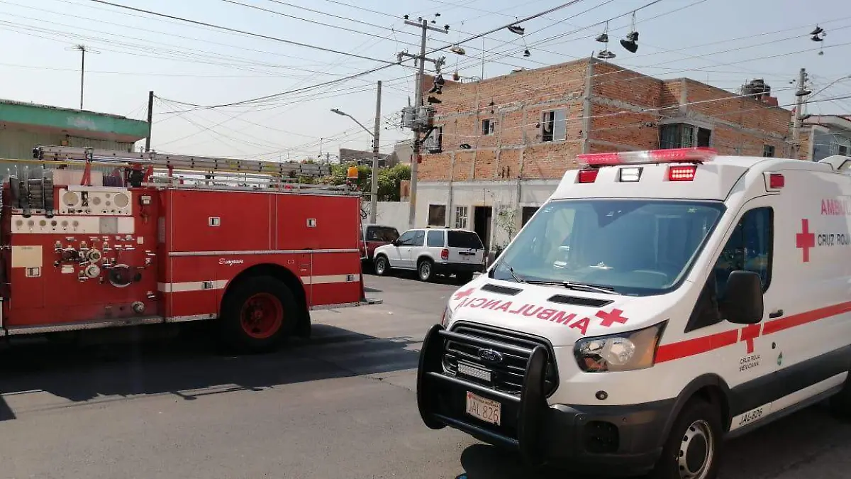 WhatsApp Image 2020-05-19 at 16.12.00