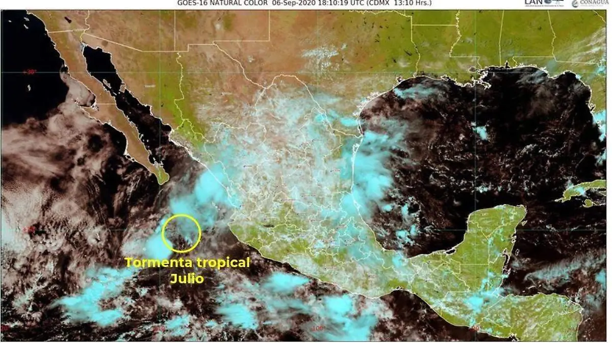 WhatsApp Image 2020-09-06 at 15.44.51