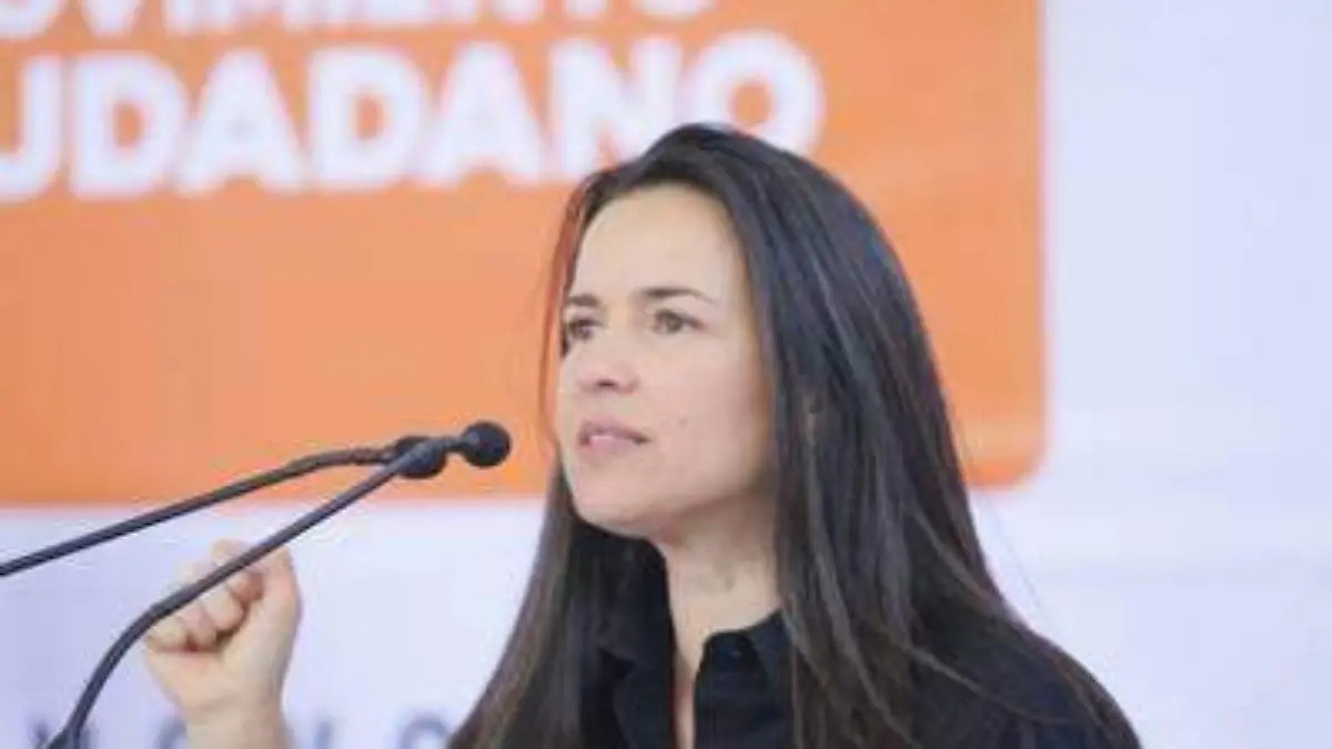 Mirza Flores