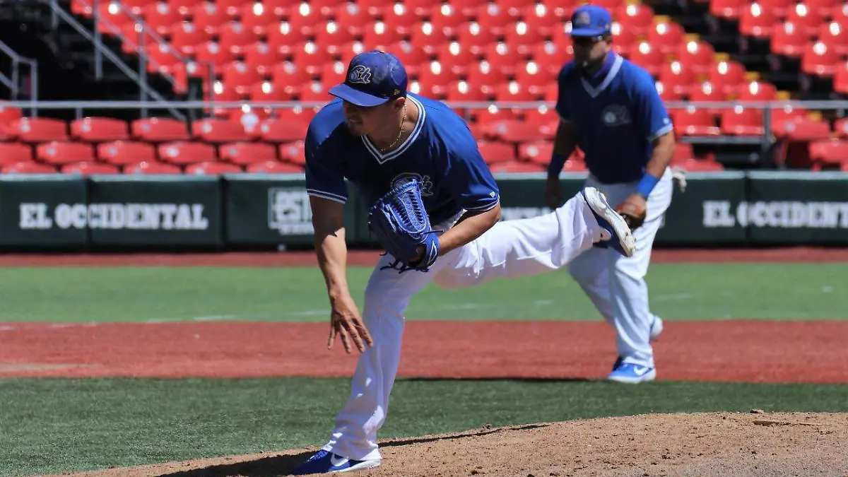 WhatsApp Image 2020-10-08 at 13.40.30