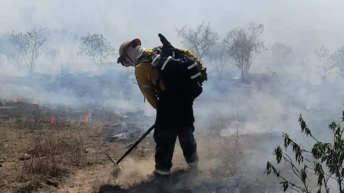 incendios 1