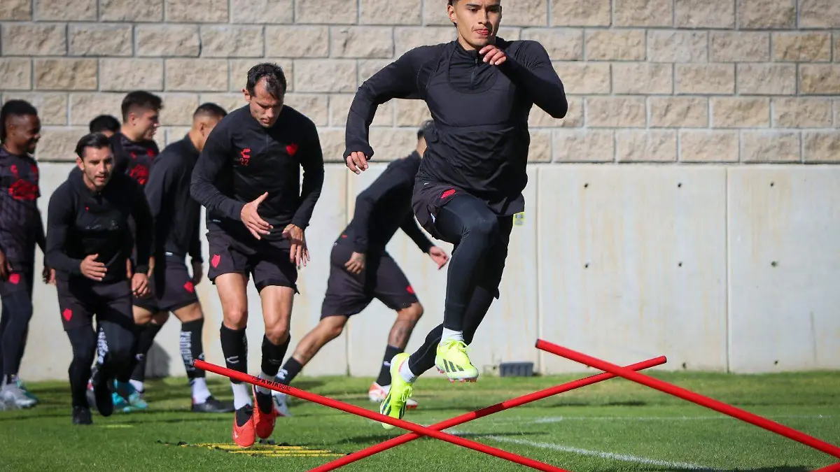 WhatsApp Image 2024-01-15 at 10.49.07