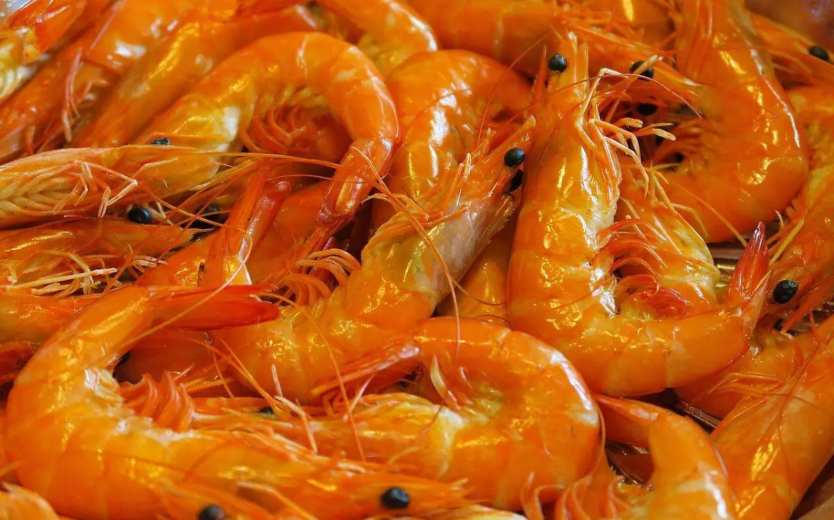 Camarones