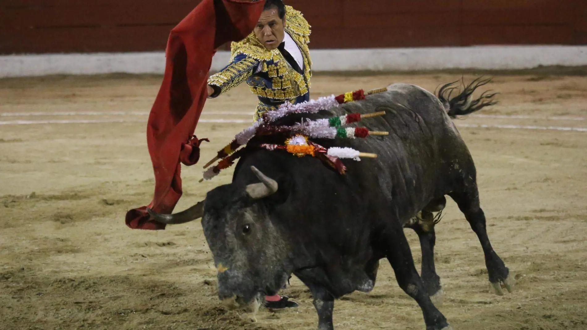 Toros