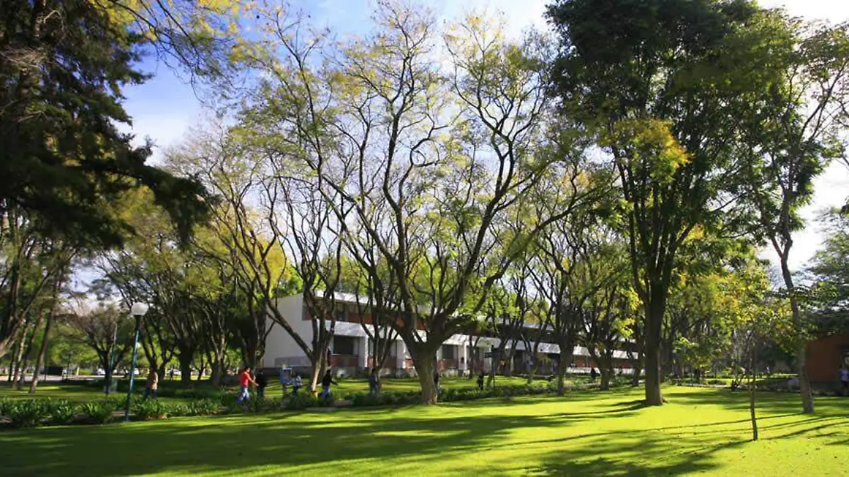 ITESO