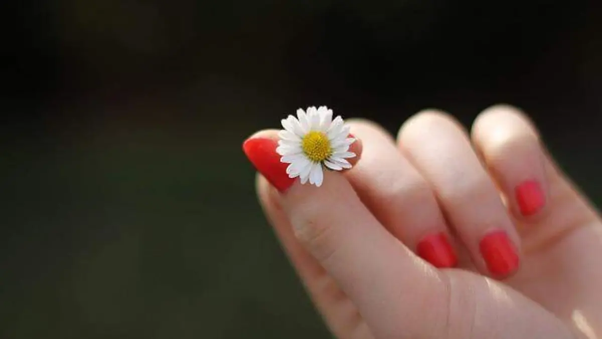 Uñas