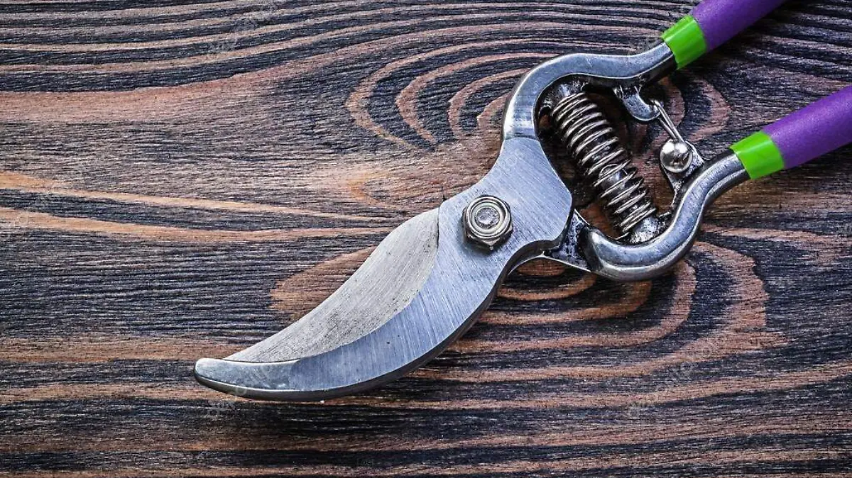 depositphotos_108170698-stock-photo-stainless-pruning-shears
