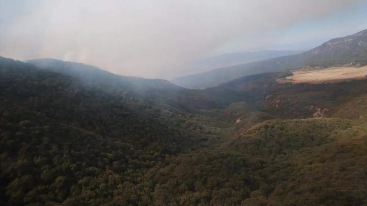 Incendio Bosque de la Primavera