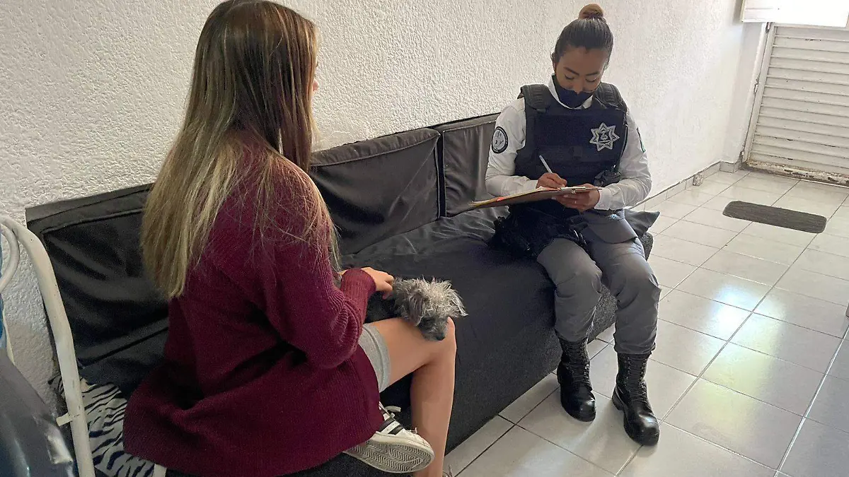 Violencia de género