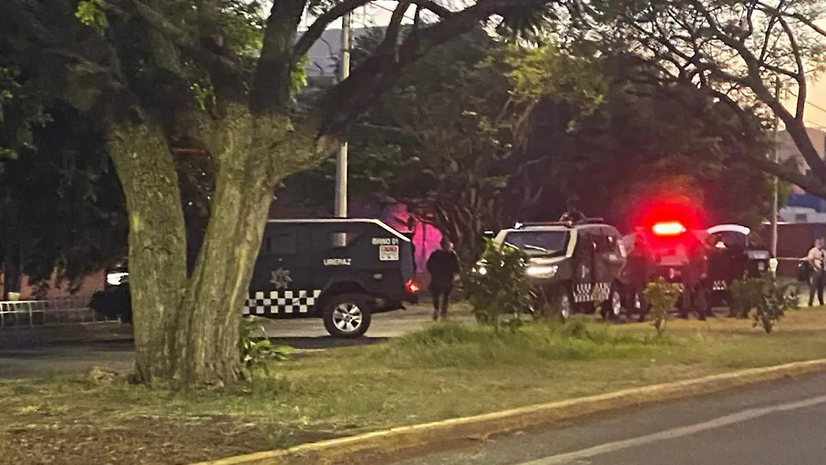 Detenidos Guadalajara