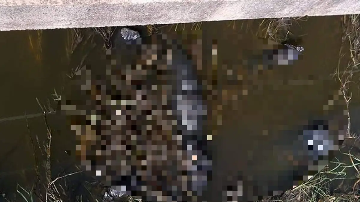 Embolsados Ixtlahuacán de los Membrillos