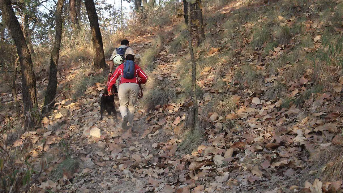 Hermano ex Ombusman (3)