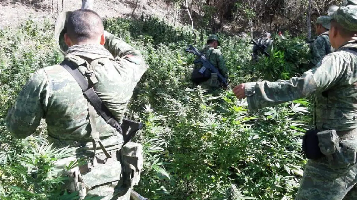 Militares