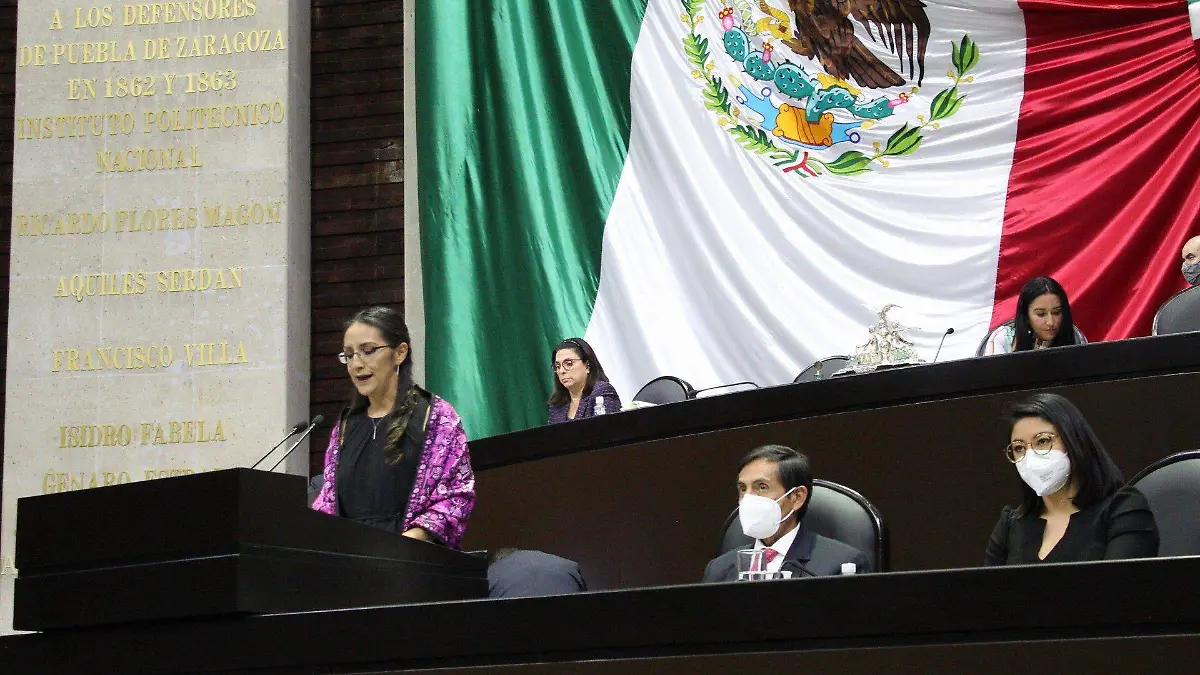 Diputada Laura Imelda Pérez