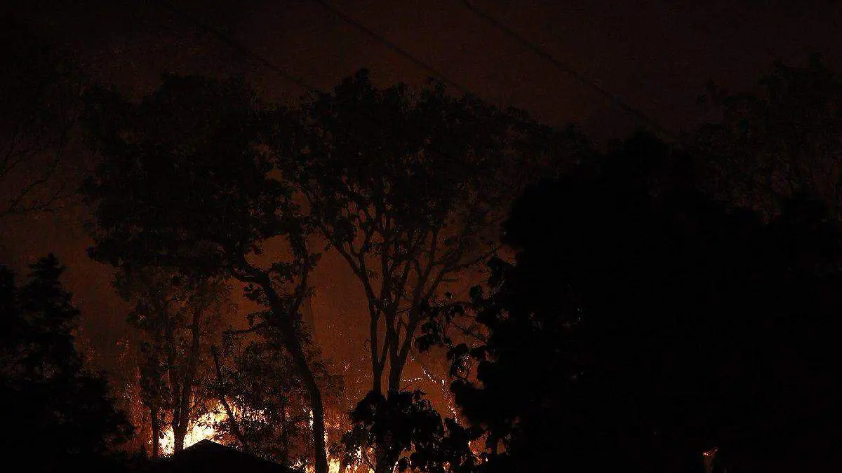 Incendio Pinar de La Venta