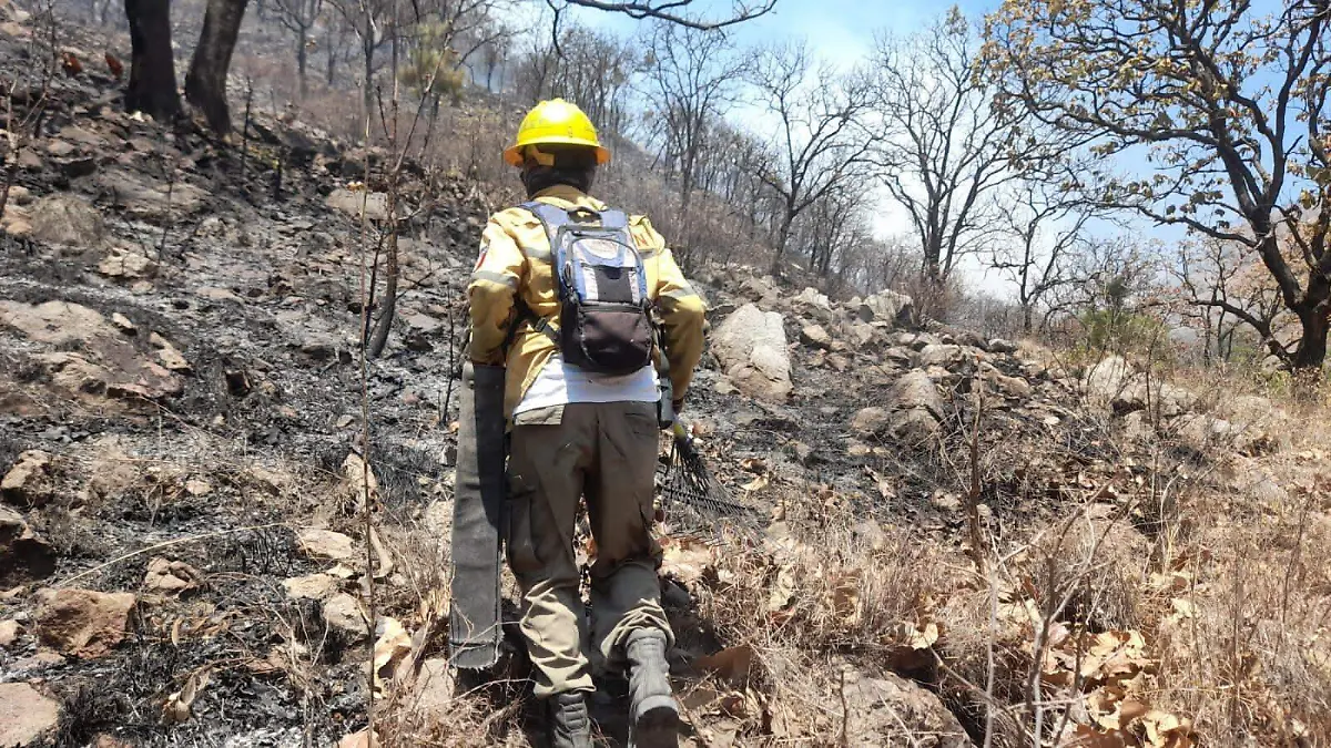 Brigadistas combaten incendio en el paraje El Taray
