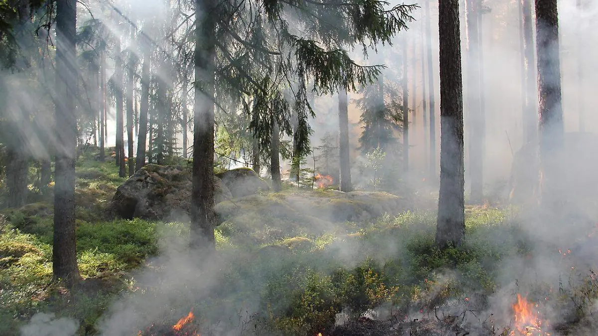 Incendios