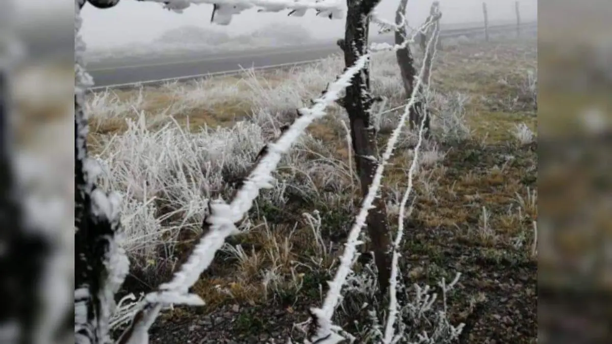 Escarcha Tapalpa (2)