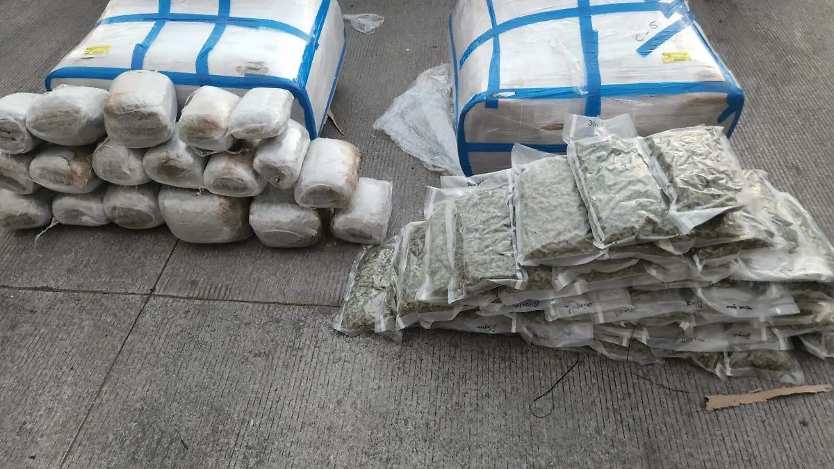 GN decomisa droga en Ixtlahuacán de los Membrillos