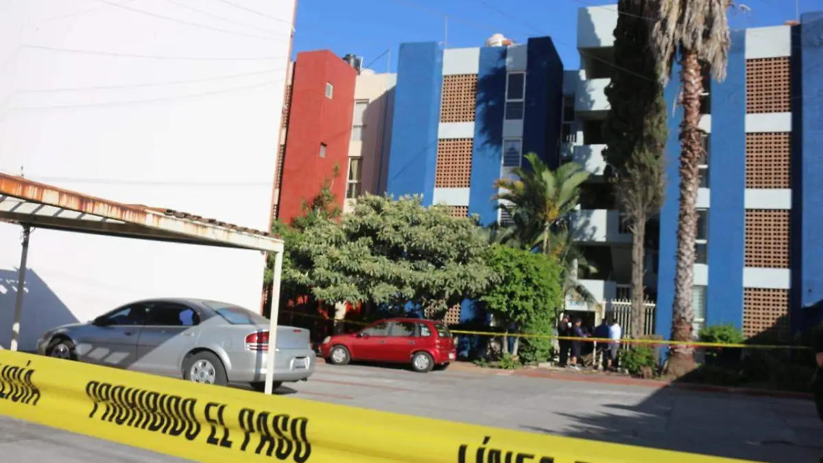 WhatsApp Image 2019-05-08 at 19.03.50