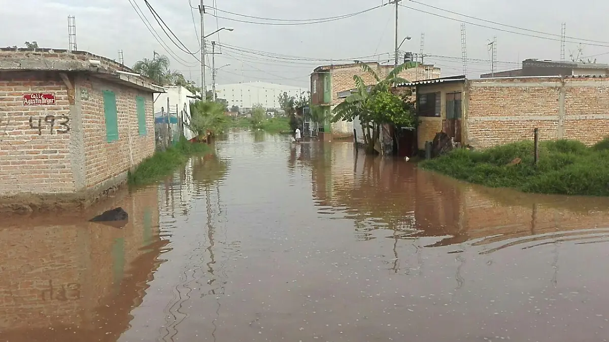 WhatsApp Image 2017-07-07 at 9.12