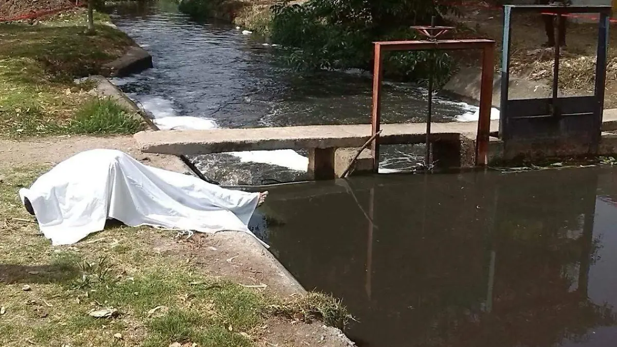 muertotomatlan modificada