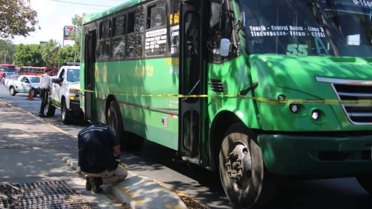 Atropellado transporte público