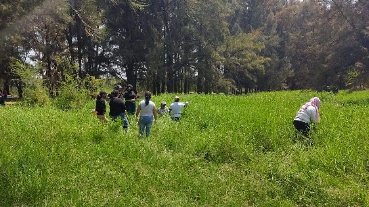 Búsqueda hermanos Camarena